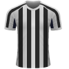 Logo of Newcastle United