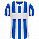 Brighton & Hove Albion